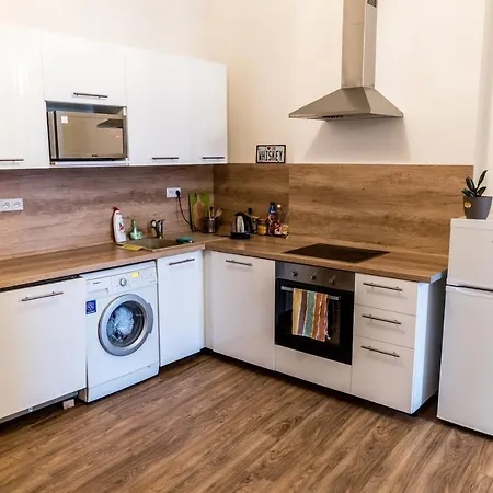 Cozy, City With Private Garage Apartment