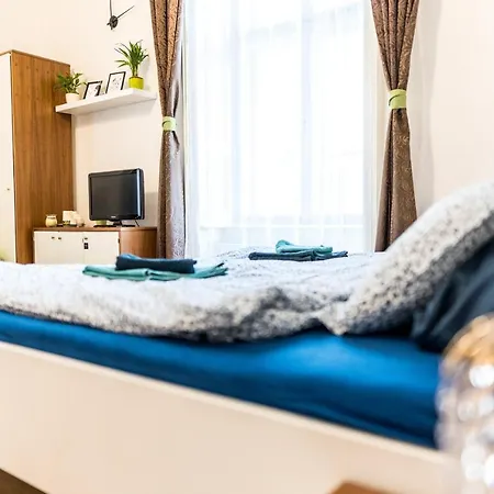 Cozy, City With Private Garage Apartment *