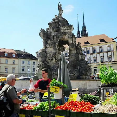 Cozy, City With Private Garage * Brno