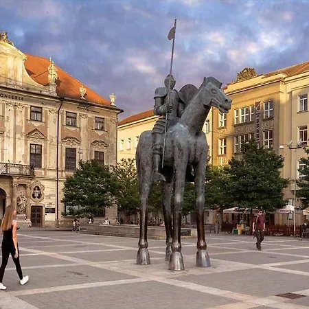 Cozy, City With Private Garage Apartment Brno