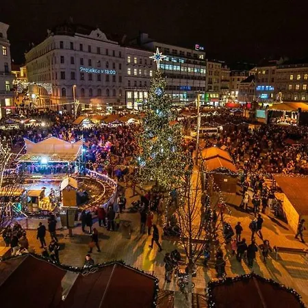 Cozy, City With Private Garage * Brno